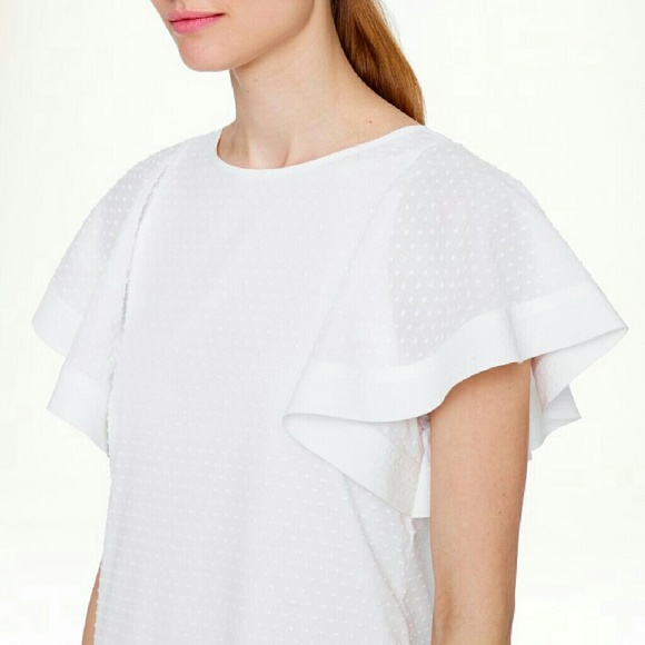 J Crew Swiss Dot Flounce Sleeve Dress - Picture 3 of 4